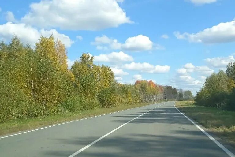 Какие дороги закрывают на просушку. Прогресс трасса Ялуторовск. Дорога трасса закрыта. Закрытие дороги для большегрузов СНТ. Нашествие косуль в Омской.