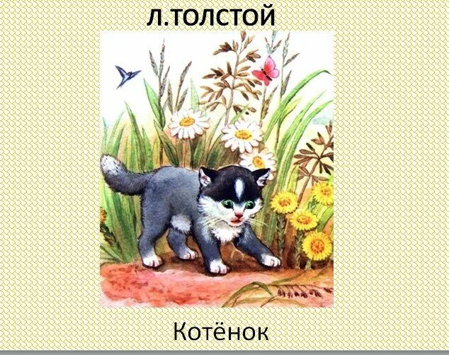 В каких произведениях есть котенок. Лев Николаевич толстой котенок рисунок. Сказка Льва Толстого котенок. Лев Николаевич толстой рассказ котенок. Иллюстрации к рассказу котенок л.Толстого.