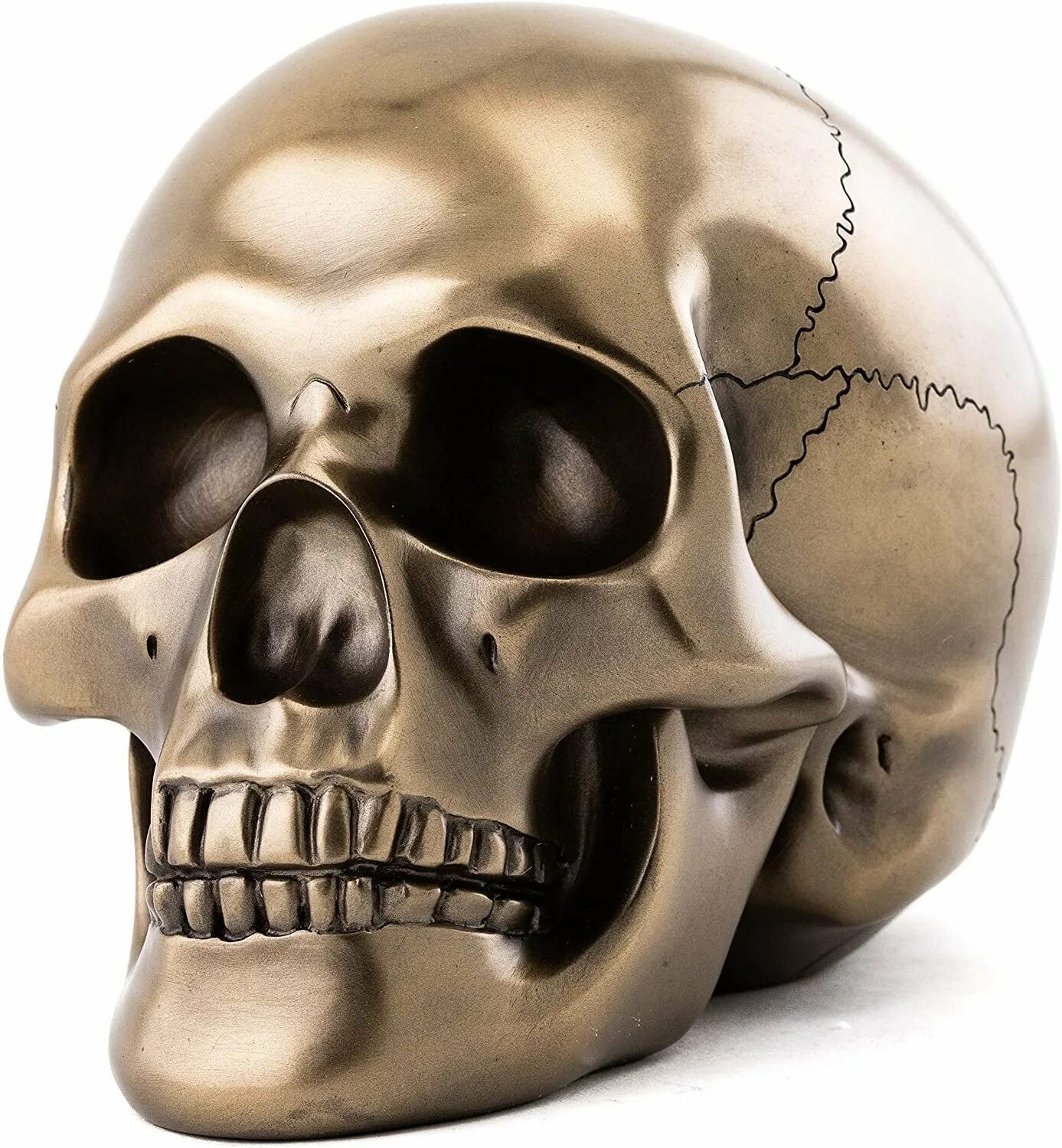 Череп человека. Скелет головы. Голова скелета арт.