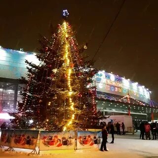 До какого числа стоит елка в воронеже