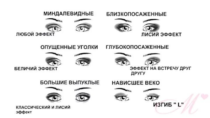 Какая форма ресниц подойдет. Лисий эффект наращивания ресниц схема. эффекты наращивания ресниц схемы. овальный эффект наращивания ресниц схема. коктейльный эффект наращивания ресниц схема.