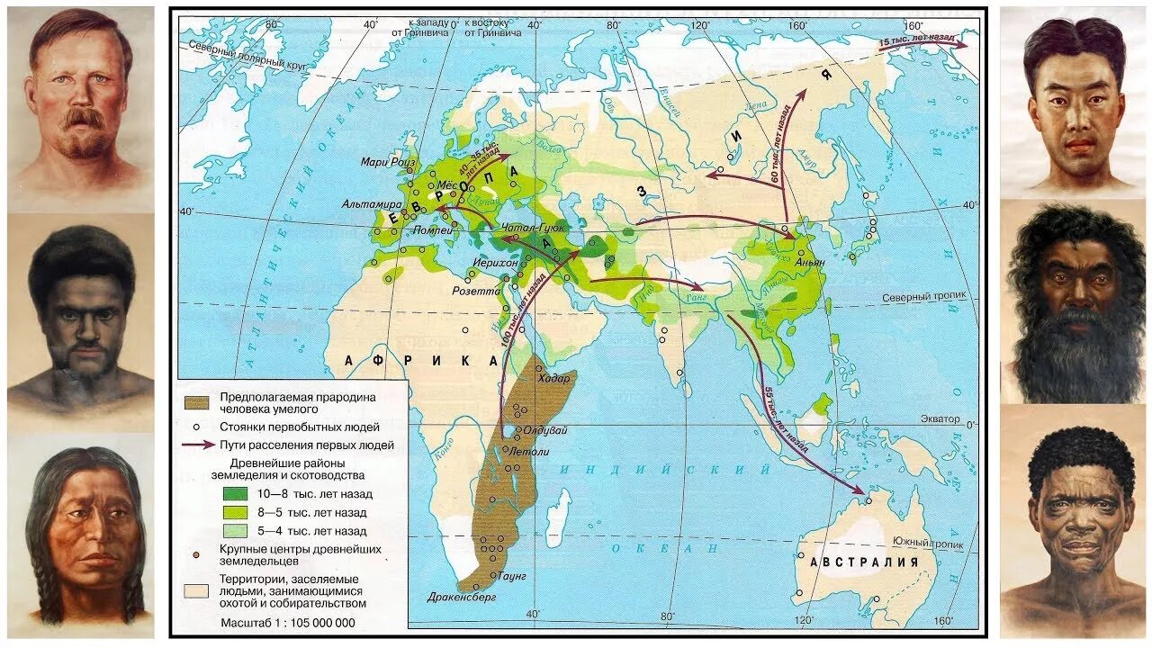 Происхождение человека человеческие расы. Происхождение рас человека Дробышевский. Географические расы. Человеческие расы. Раса это в географии.