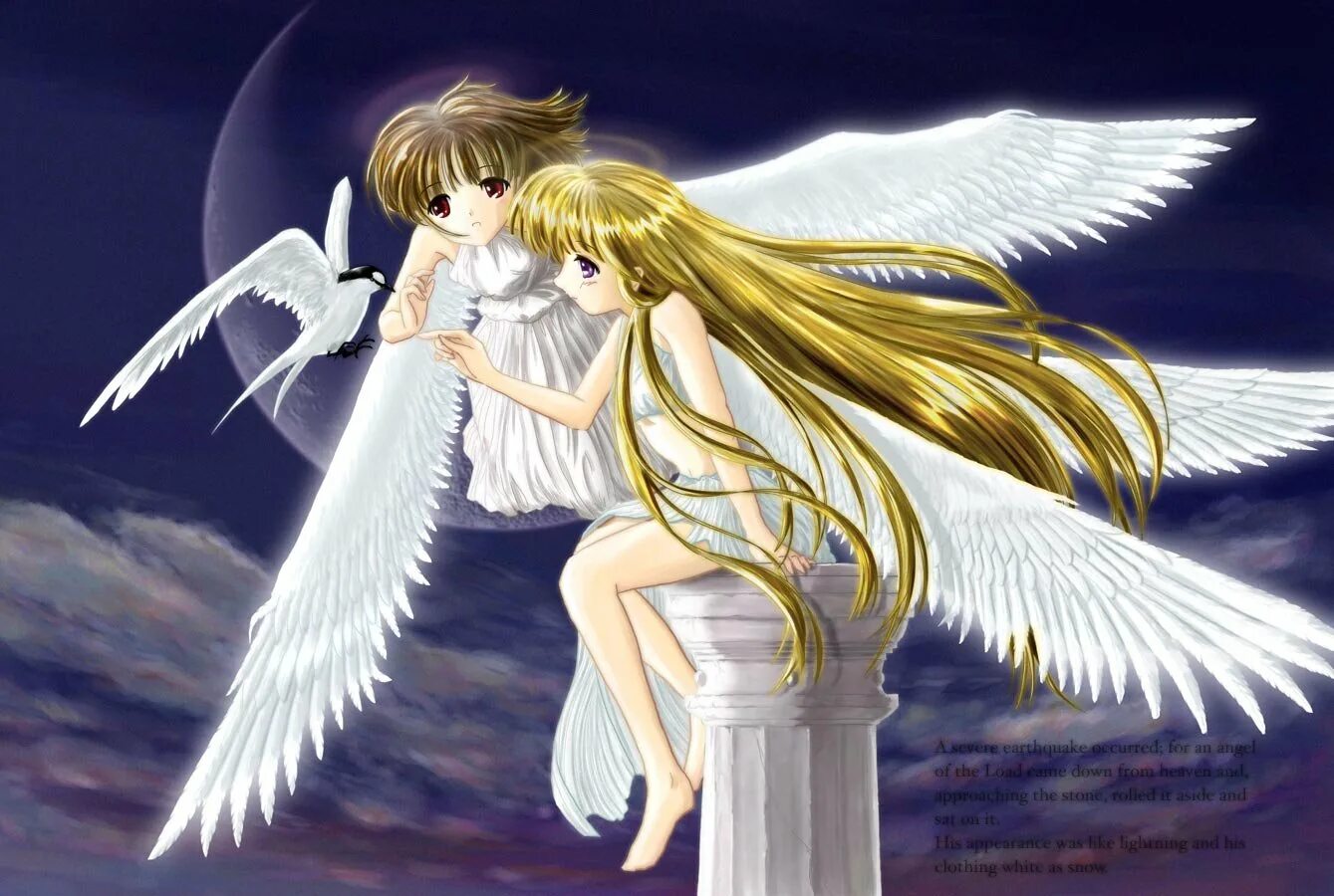 Angel s love