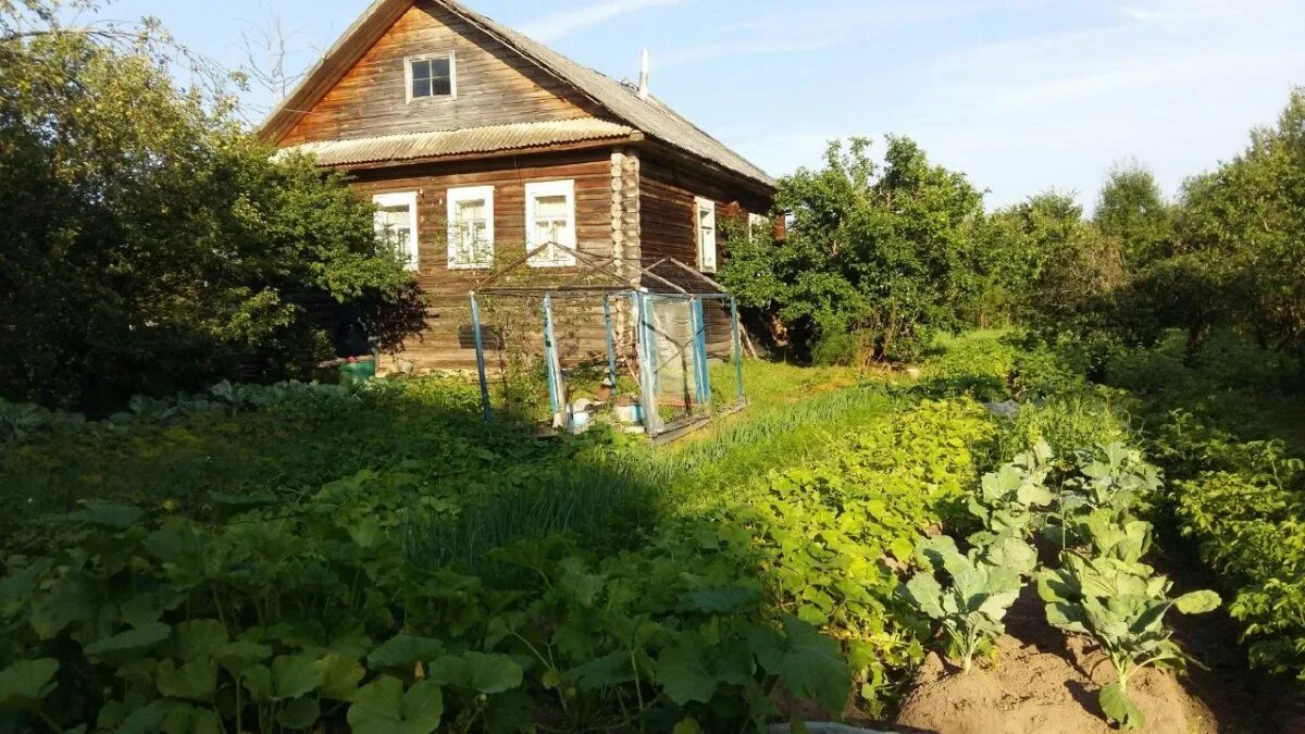 Погода в поселке пола. Погода в поселке пола. Погода в поселке пола. Погода в поселке пола. Погода в поселке пола.