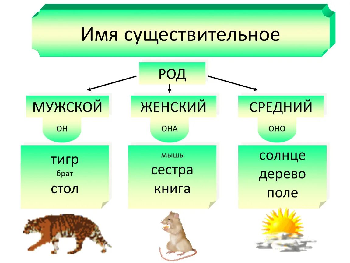 Род имен существительных. Имя существительное род. Род имен сущ. Как определить род имен существительных.