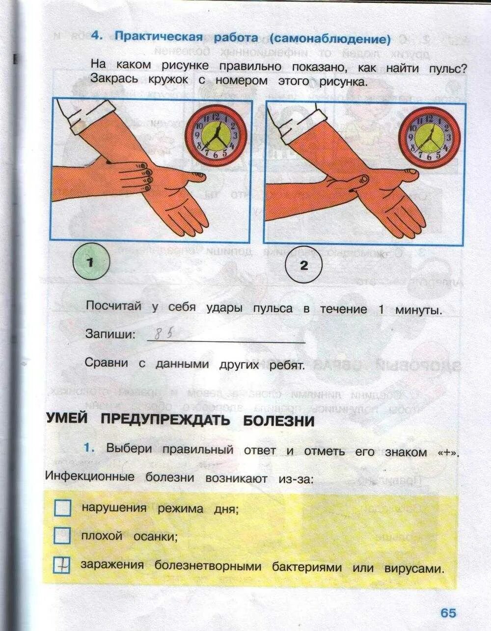 Окр мир 3 стр 12. Гдз окружающий мир 3 класс рабочая тетрадь. Окружающий мир 3 класс рабочая тетрадь 1 часть стр 80 номер 2. Окружающий мир 3 класс рабочая тетрадь. Окружающий мир 3 класс рабочая тетрадь Плешаков.