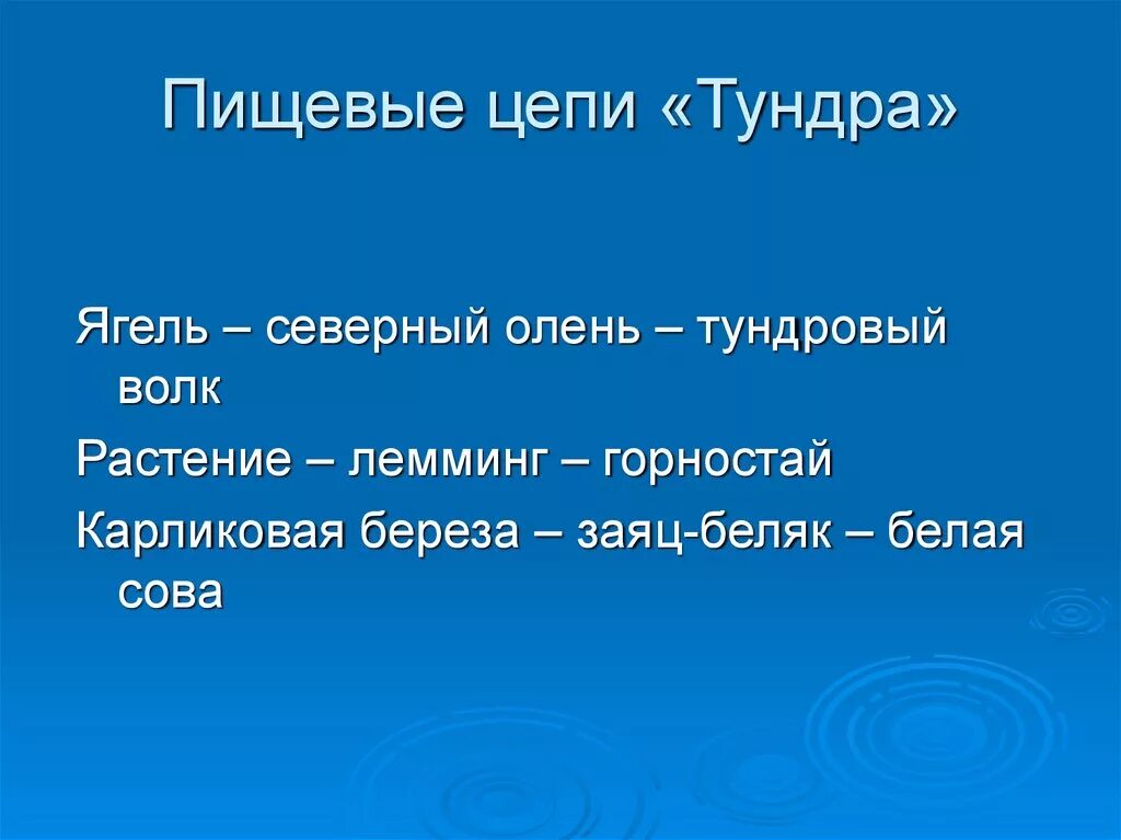 Составить пищевую цепь тундры