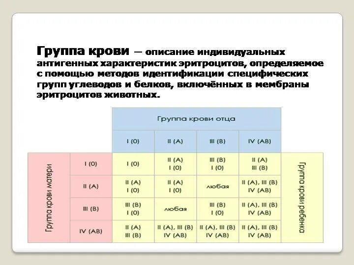 Сколько групп условий в фоп. Группы крови у животных. Группы крови у собак. Группы крови у кошек. Сколько групп крови у животных.