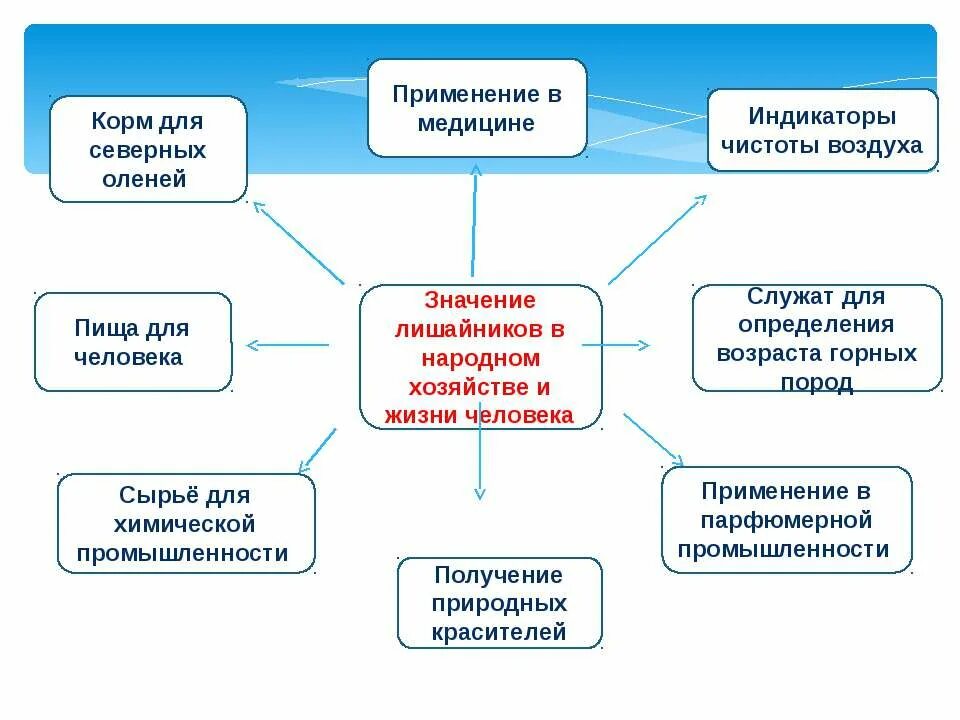 Значение лишайников в природе и жизни человека. Роль лишайников схема. Схема значение лишайников. Роль лишайников в природе и жизни человека.