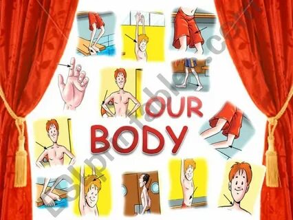 Our bodies