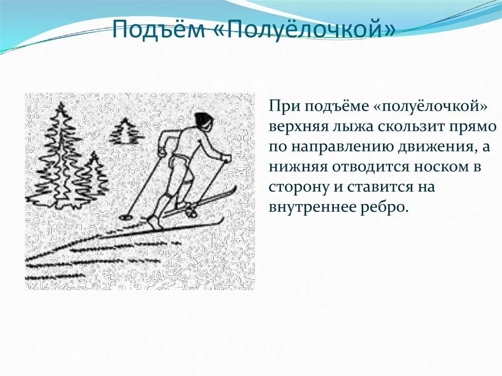 При подъеме на какие. Лыжная подготовка подъем полуелочкой. Подъем на склон полуелочкой и на лыжах. Техника выполнения подъема полуелочкой. Подъем елочкой и полуелочкой на лыжах.