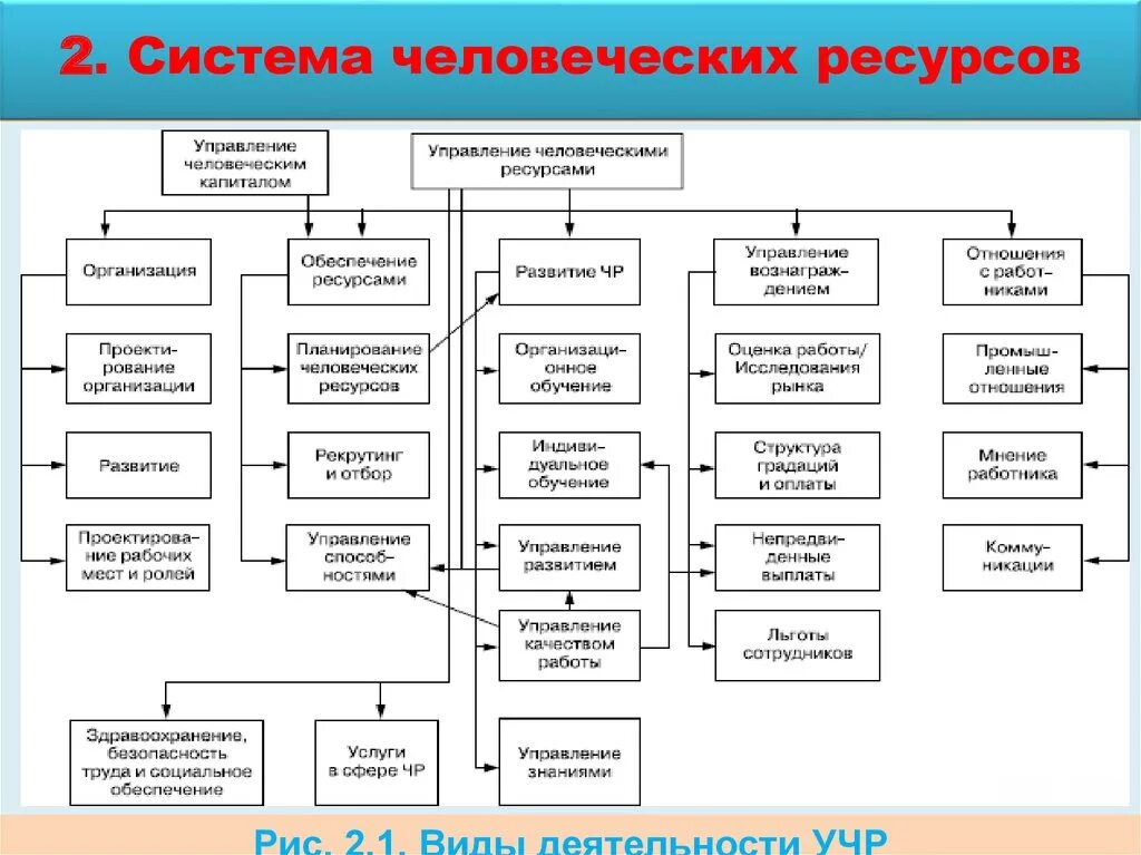 Структура управления человеческими ресурсами в организациях. Система управления человеческими ресурсами схема. Структура человеческих ресурсов организации. Элементы системы управления человеческими ресурсами. Ресурсами системы называют