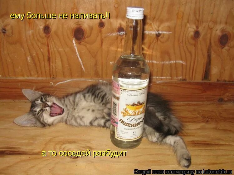 Аккорды песен для гитары. Текст песни. Шумел камыш. У моей россии длинные косички. Песня хватит не наливайте шумно.