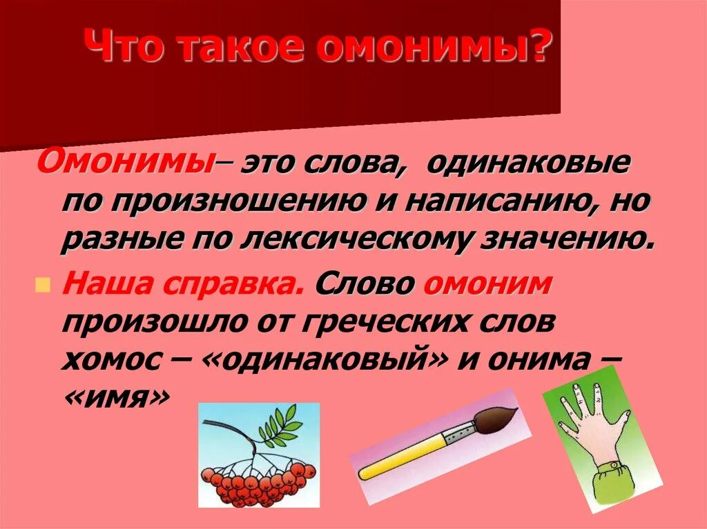 У каких из приведенных частиц есть омонимы. Омонимы. Слова омонимы примеры. Амон. Онимы.