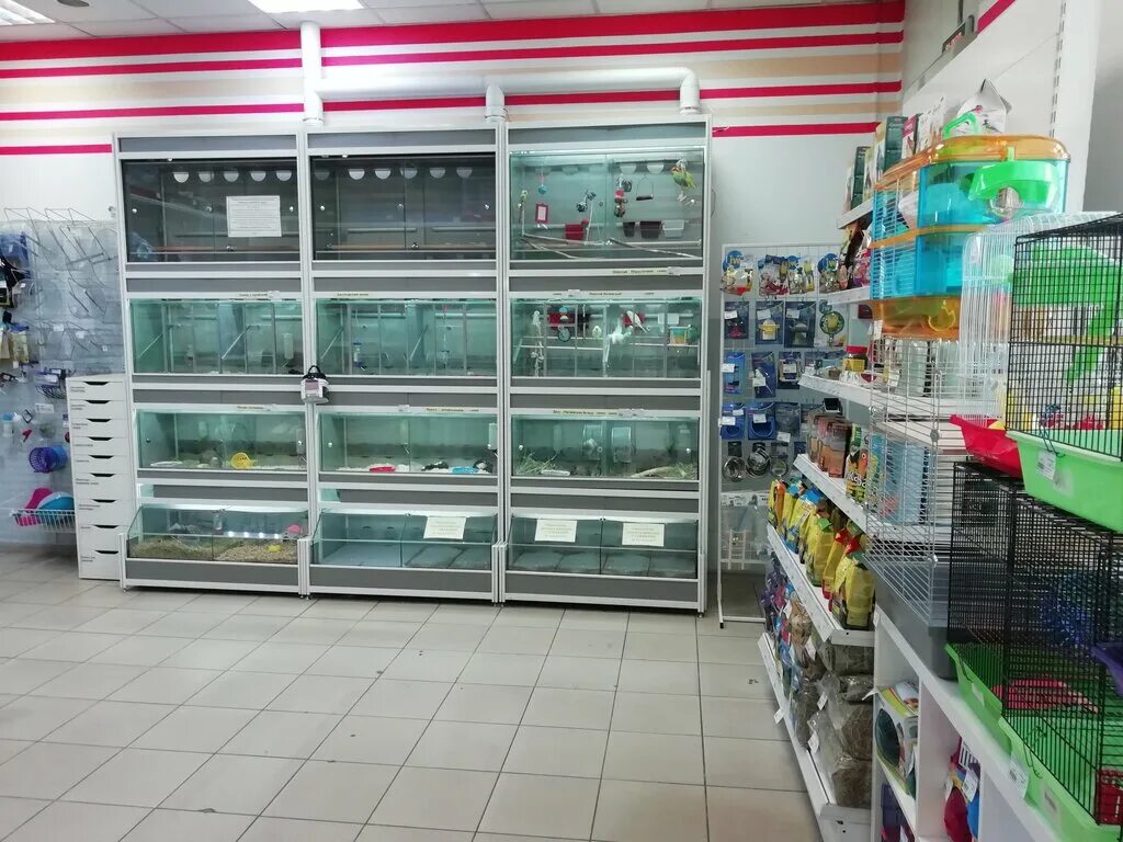 Зооэкспресс санкт петербург товары для животных. Зооэкспресс санкт петербург товары для животных. Зоомаркет интернет магазин в челябинске. Лежанка для собаки зооэкспресс. Зоомаркет интернет магазин в челябинске.