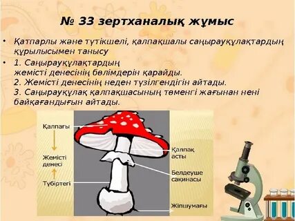 Абхаз қыздарының секс суреттері