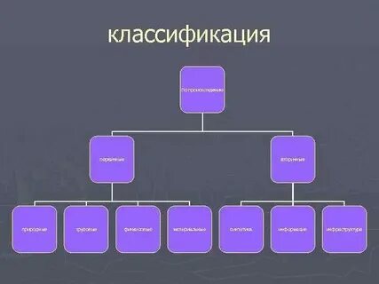 Систематика и происхождение