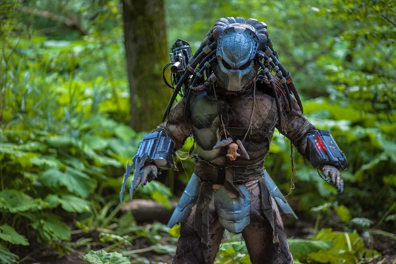Aurora predator