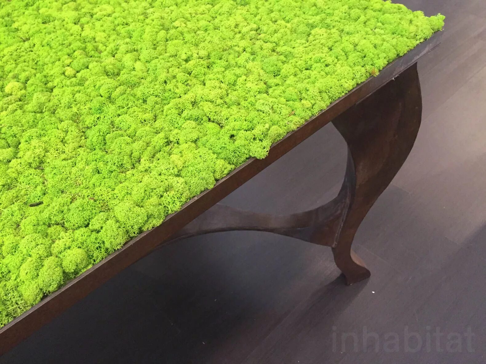 Что такое стабилизированный мох как ухаживать. Журнальный столик «moss garden». стабилизированный мох в интерьере. изделия из стабилизированного мха. живой мох в интерьере.