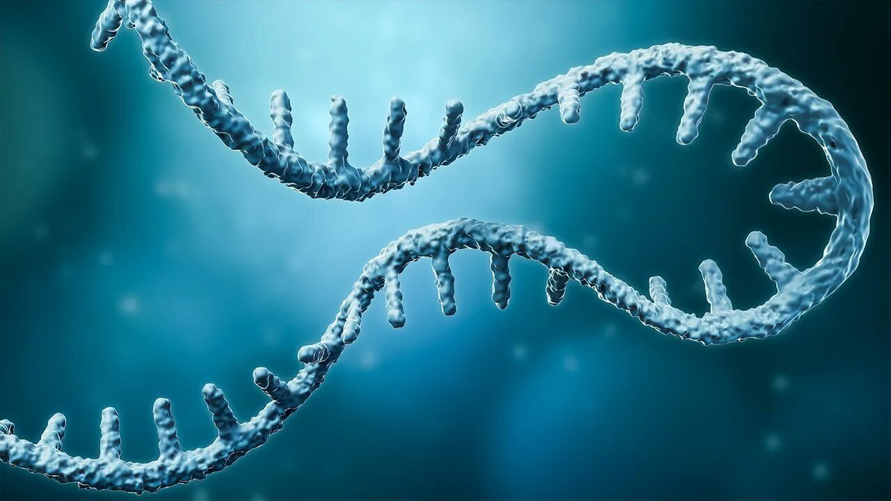ДНК. Молекула ДНК. РНК фото. ДНК картинки.
