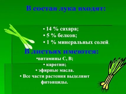 Лук 5 букв