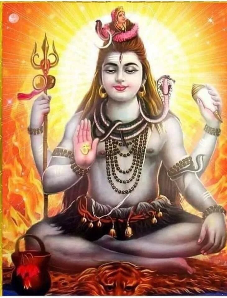 Число шивы. Число шивы. Мангифера индийская шива. Число шивы. Шива махашиваратри.