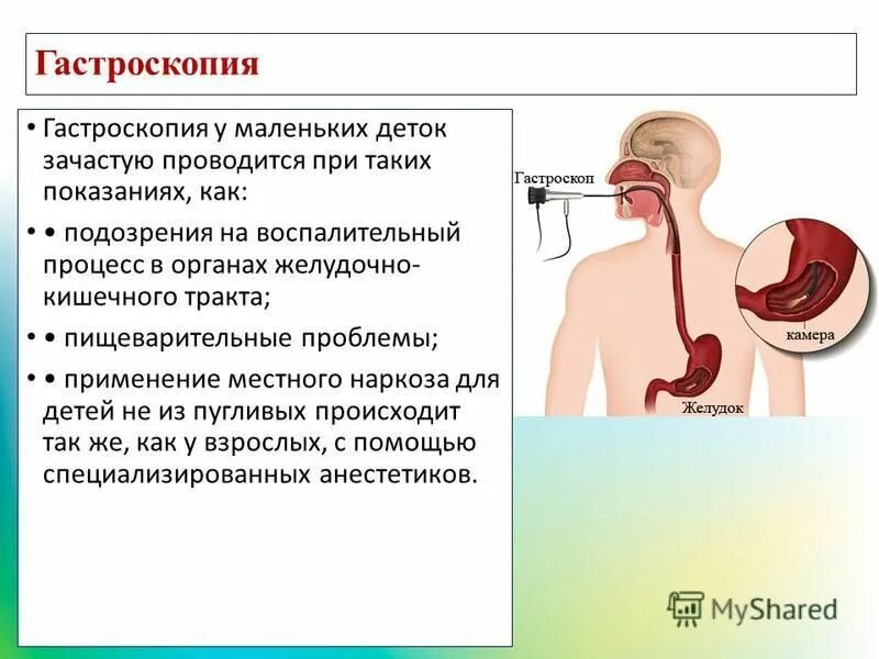 Проблемы пищеварительной системы