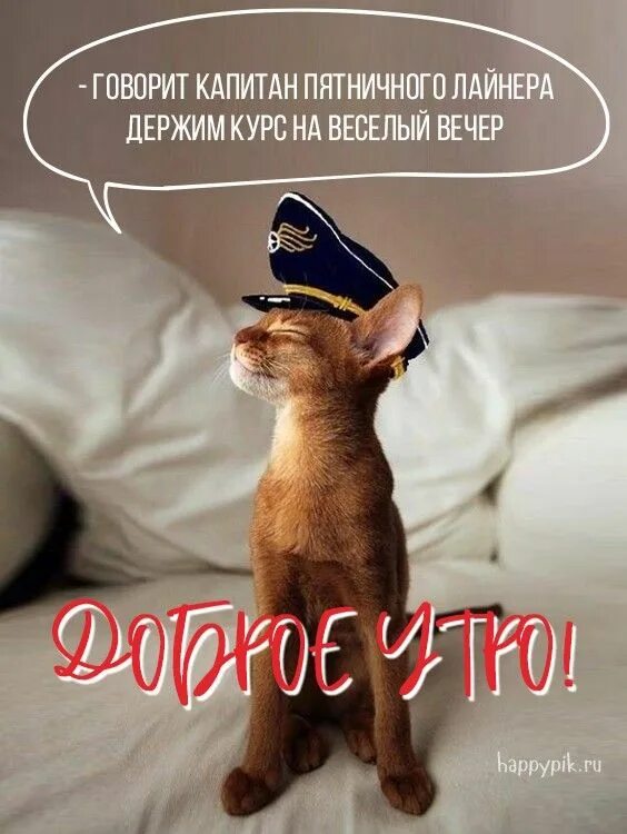 Доброе утро! Пусть день будет ясным, А настроение только прекрасным. Пусть пробу