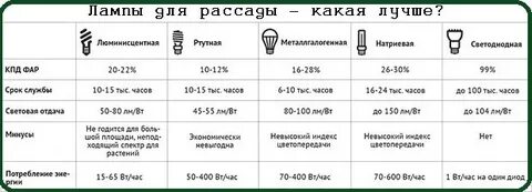 Светодиодные лампы подходят для растений