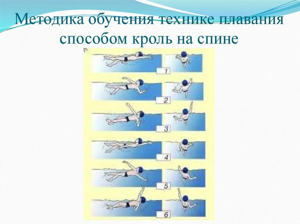 Обучение плавания кроль на груди. Кроль на спине техника плавания. Способы плавания брасс Кроль на спине. Методы обучения плаванию. Упражнения для изучения техники плавания.