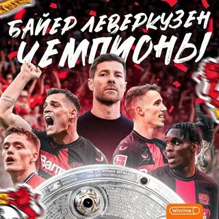 Байер чемпион 2024