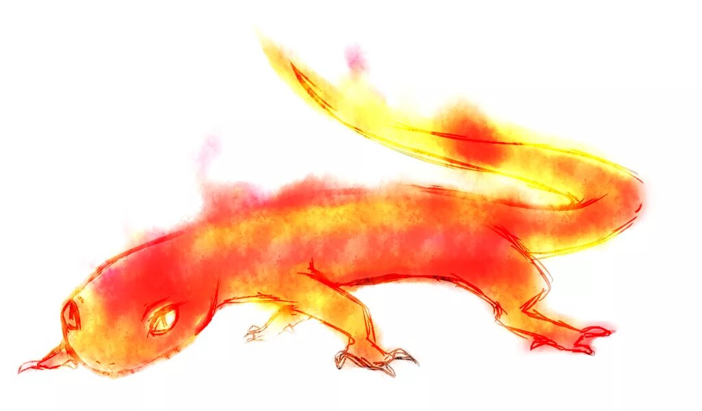 Огненная саламандра Salamandra Salamandra. Огненная саламандра ДНД. Flame Salamander (Огненная саламандра). Саламандра — Огненная ящерица.