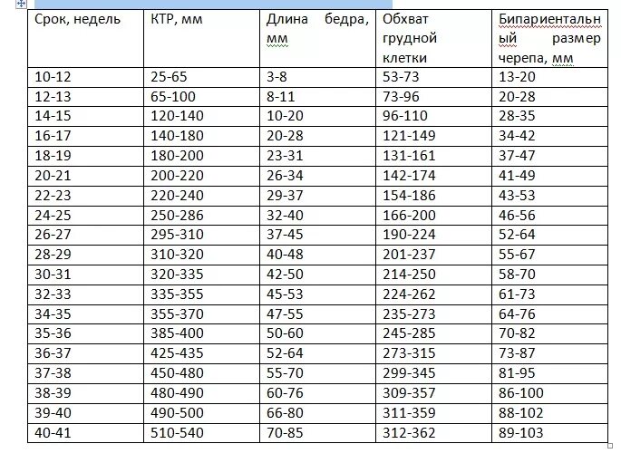 20 недель вес плода норма