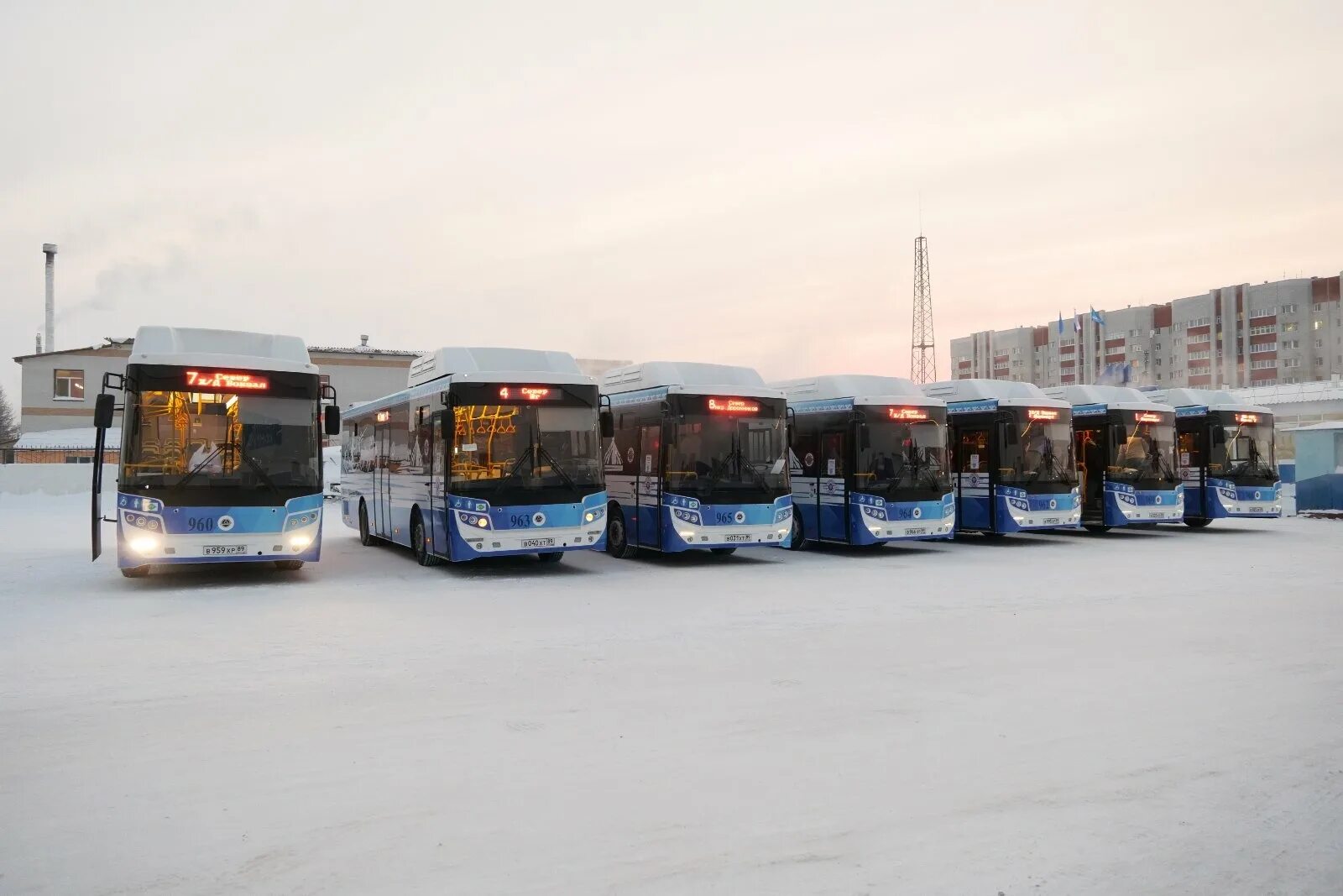 КАВЗ-4270 В новом Уренгое. Новые автобусы. Автобус новый Уренгой. Автобусы Салехард.