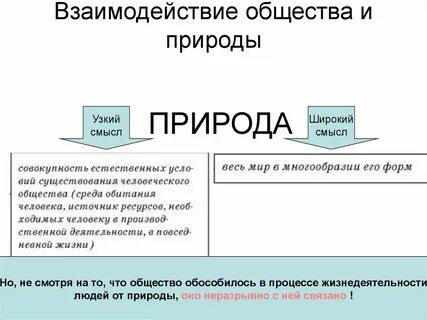 Какова взаимосвязь общества