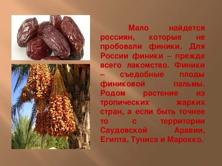 Финики описание