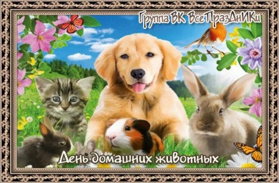 День домашних животных. Всемирный день домашних животных. День домашних животных открытки. 30 Ноября день домашних животных.