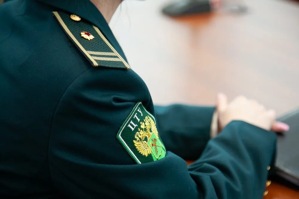 Центральная почтовая таможня фтс россии. Таможенные органы. Таможня фтс россии. Таможенные органы. Внутренняя служба в таможенных.