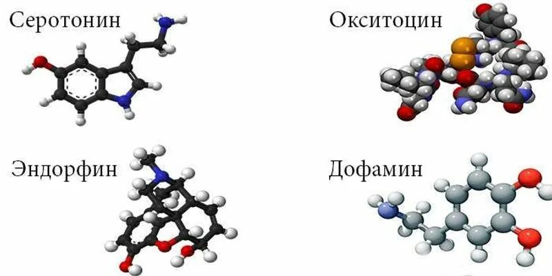 Эндорфины мозга. Гормоны дофамин серотонин. Эндорфин гормон счастья. Гормоны дофамин серотонин Эндорфин окситоцин. Эндорфин это гормон.