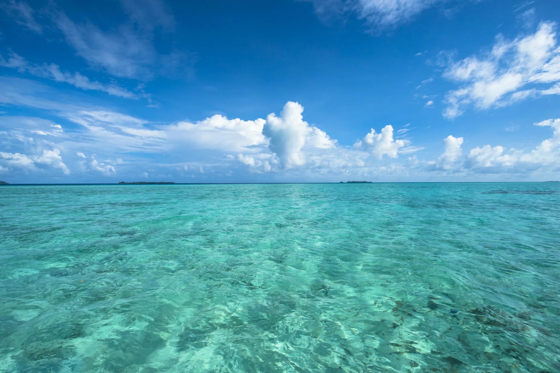 What is the world ocean