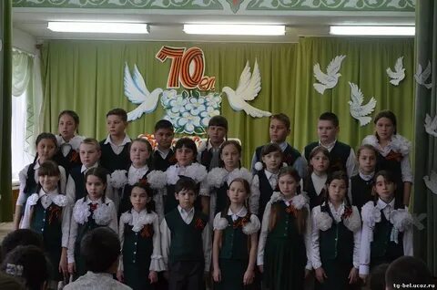 Сетевой город андреаполь