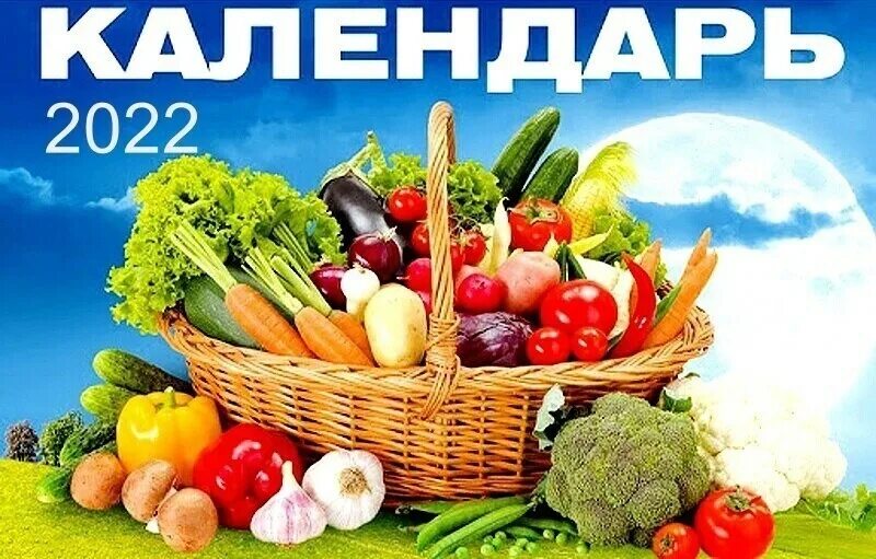 Посевной календарь на 2024 год дачный участок. Лунный календарь. Календарь посадки цветов. Посевной календарь на 2024. Лунный календарь для рассады 2024 год.