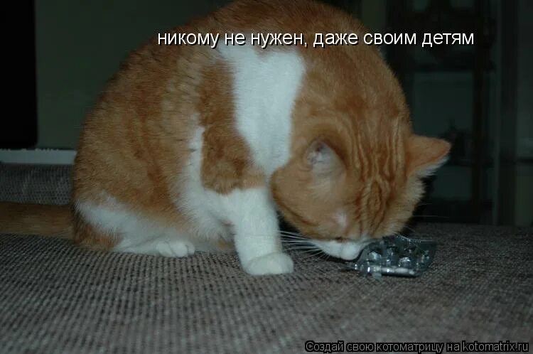 Под доходить. Под доходить