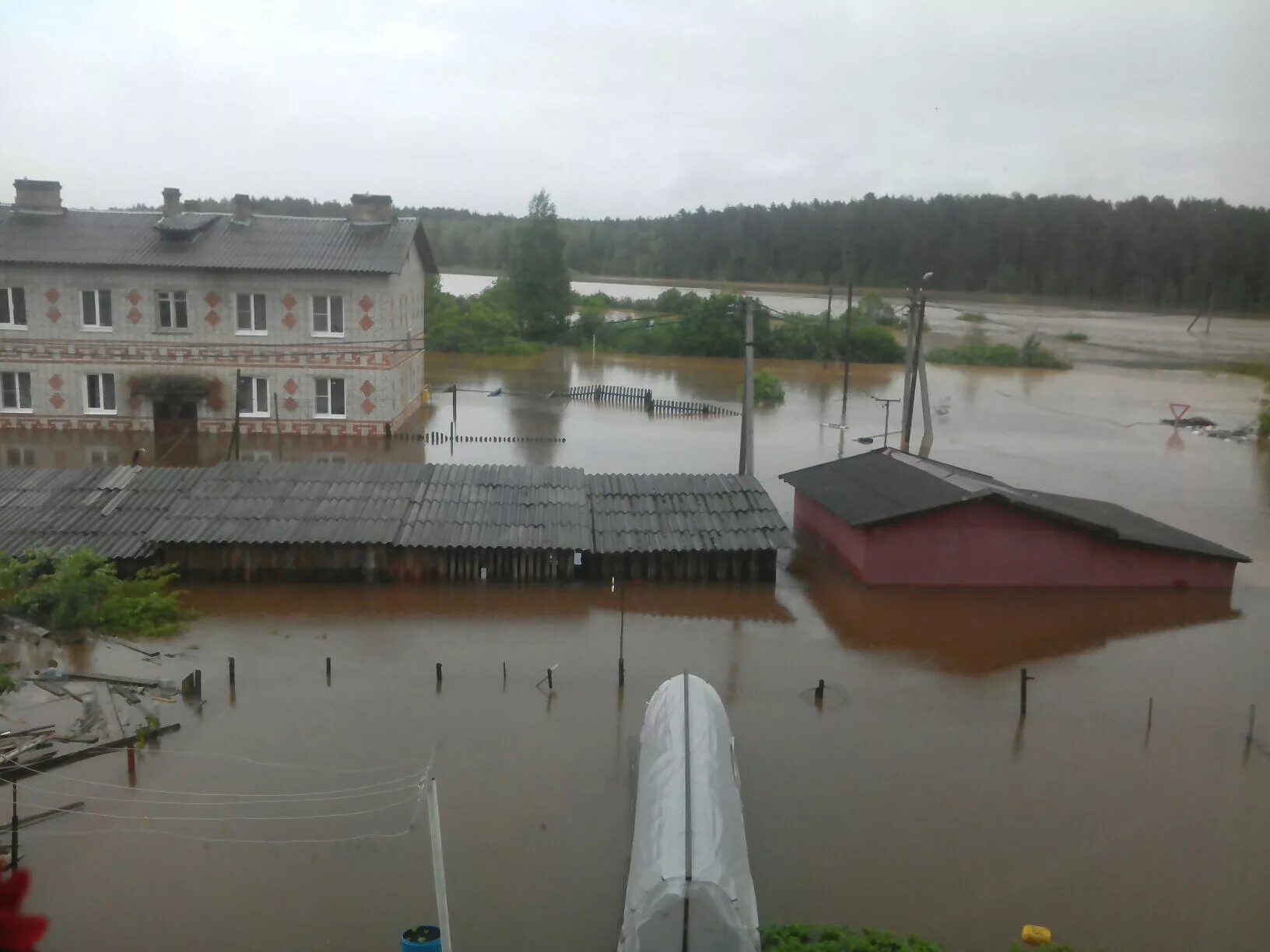 Погода неболчи рп 5. Новгородская область небоо. Поселок Неболчи Новгородской области. Поселок Неболчи Любытинского района Новгородской области. Деревня Неболчи Новгородская область.