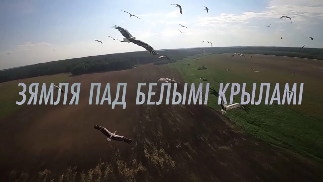 Земля под белыми крылами. Зямля пад белымі крыламі. зямля пад белыми крылами. земля под белыми крыльями. зямля пад белымі крыламі кніга.