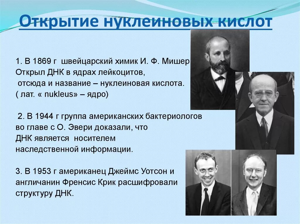 Фамилии генетика. Мишер открытие нуклеиновых кислот. Мишер открыл нуклеиновые кислоты. Открытие нуклеиновых кислот кратко.