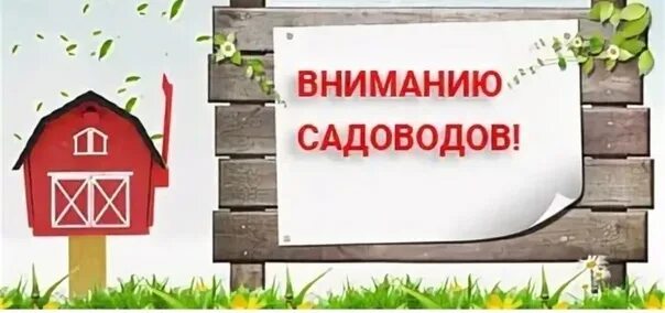 Проживаю в снт. Обращение к садоводам. обращение к садоводам снт. обращение председателя снт к садоводам. внимание! уважаемые садоводы.