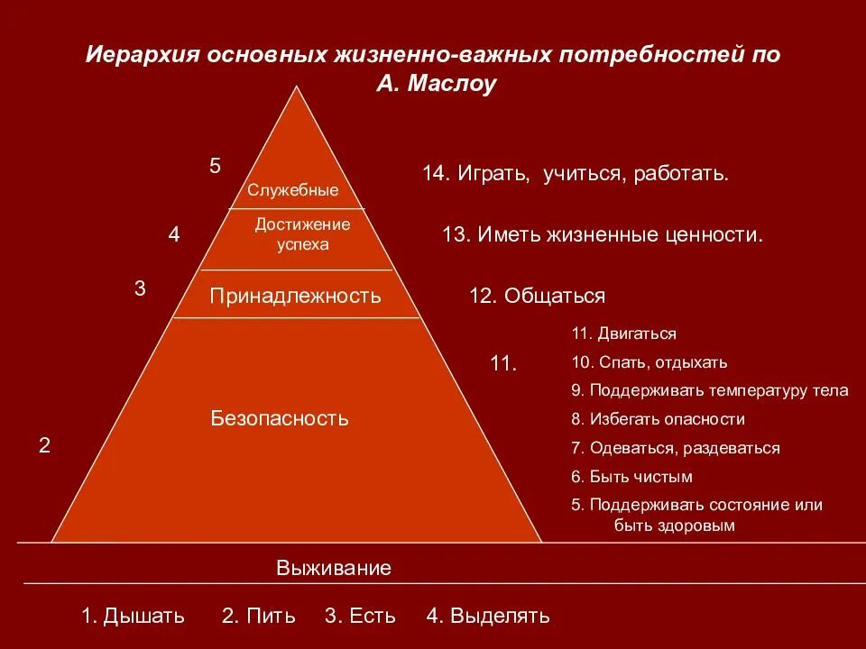 Каковы основные уровни. Пирамида по Маслоу 14 основных потребностей человека. Потребности по Маслоу Сестринское дело. Потребности пациента в сестринском деле по Маслоу. Пирамида Маслоу Сестринское дело.