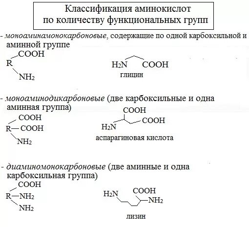 Функциональной группой аминов является. Функциональные группы аминокислот. Классификация аминокислот по функциональным группам. Аминокислоты по числу функциональных групп. Классификация алифатических аминокислот.