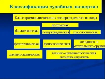 Виды экспертиз по уголовному делу
